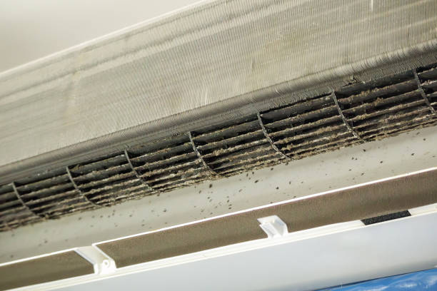 Best Emergency Air Duct Cleaning  in Byhalia, MS