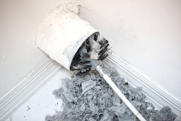 Best Affordable HVAC Duct Cleaning  in Byhalia, MS